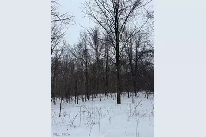 0 State Route 30 Street, Mansfield, OH 44907 - Photo 5