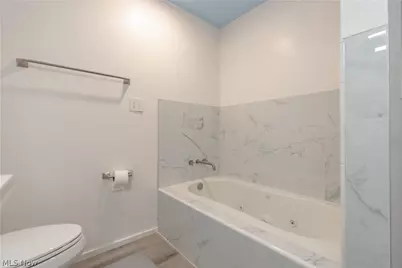 3024 Vega Avenue, Loveland, OH 44113 - Photo 33