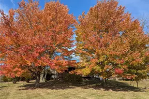 380 E 2nd St, Zoar, OH 44697 - Photo 49