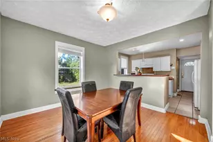 10410 Baltic Rd, Loveland, OH 44102 - Photo 15