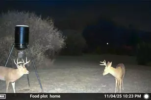 10150 County Rd 12, Corning, OH 43730 - Photo 33