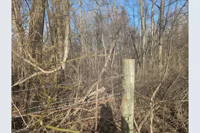 0 Township Road 215, New Lexington, OH 43764 - Photo 3