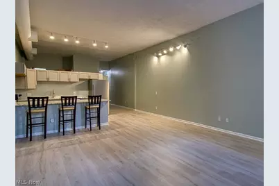 408 W Saint Clair Avenue #223, Loveland, OH 44113 - Photo 3