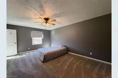 9912 State Route 700, Mantua, OH 44255 - Photo 13