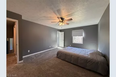 9912 State Route 700, Mantua, OH 44255 - Photo 15