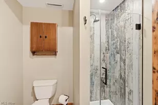 3813 Heathery Cir, Medina, OH 44256 - Photo 39