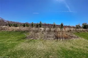 3564 Shady Timber Dr, Twinsburg, OH 44087 - Photo 33