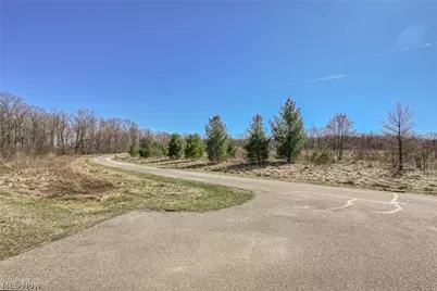 3564 Shady Timber Drive, Twinsburg, OH 44087 - Photo 37