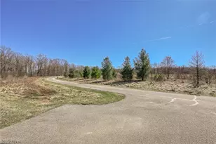 3564 Shady Timber Dr, Twinsburg, OH 44087 - Photo 37