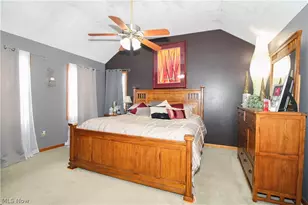 5946 N Mayflower Dr, Lorain, OH 44053 - Photo 33