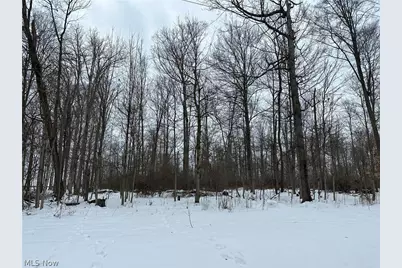 0 Grant Road, Howard, OH 44903 - Photo 1