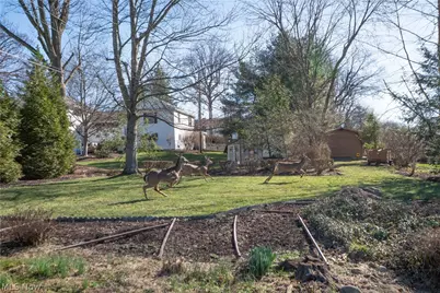 425 Santa Clara Street NW, Canton, OH 44709 - Photo 39