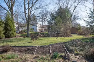 425 Santa Clara St NW, Canton, OH 44709 - Photo 39