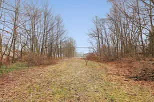 103 Turner Dr, Chardon, OH 44024 - Photo 37