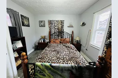 161 West Street, Geneva, OH 44041 - Photo 15