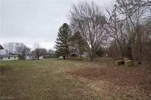 398 Snyder Ave, Barberton, OH 44203 - Photo 27