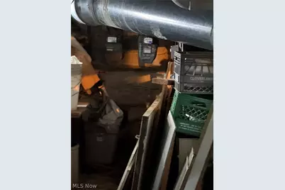 10502 Mount Auburn Avenue, Loveland, OH 44104 - Photo 5