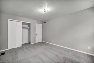 10606 Reno Ave, Loveland, OH 44105 - Photo 15