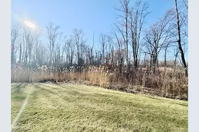 153 Raintree Lane, Painesville Twp, OH 44077 - Photo 3