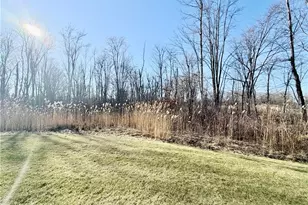 153 Raintree Ln, Painesville Twp, OH 44077 - Photo 3