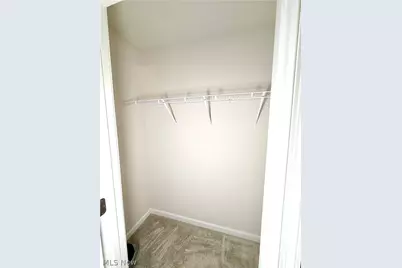 153 Raintree Lane, Painesville Twp, OH 44077 - Photo 13