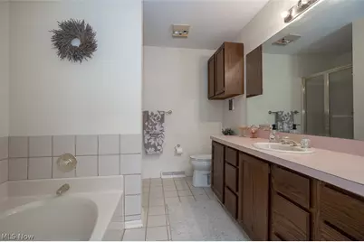 920 Hemlock Lane, Sagamore Hills, OH 44067 - Photo 19