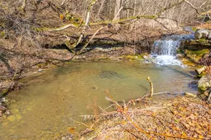 60830 Shaver Hill Rd, Shadyside, OH 43947 - Photo 31