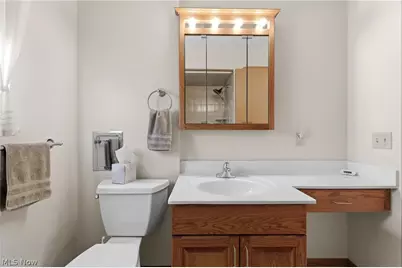 3097 W 159 Street, Loveland, OH 44111 - Photo 21