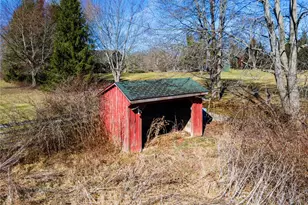 3686 Jones Rd, Diamond, OH 44412 - Photo 41