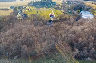 14525 Serfass Rd, Doylestown, OH 44230 - Photo 49