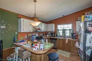 63 Parkway Dr, Olmsted Twp, OH 44138 - Photo 21