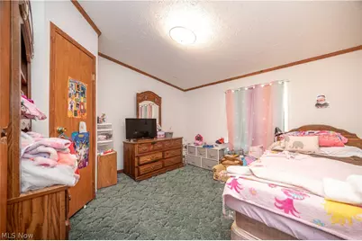 13500 Silica Road, North Jackson, OH 44451 - Photo 11