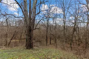 38340 Lees Run Rd, Cadiz, OH 43907 - Photo 27