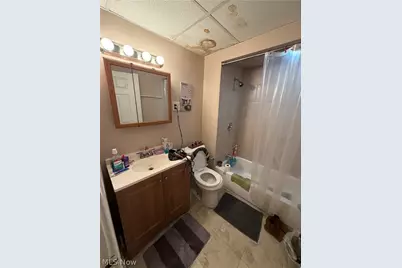 14520 Dover Avenue, Loveland, OH 44112 - Photo 11