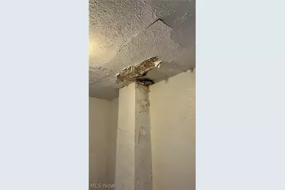 12628 Iroquois Avenue, Loveland, OH 44108 - Photo 15