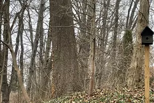 3025 Killian Rd, Uniontown, OH 44685 - Photo 21