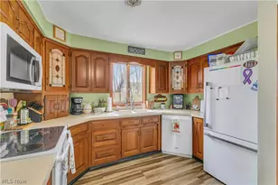 10273 E River Rd, Elyria, OH 44035 - Photo 9