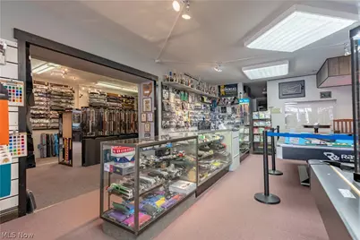 2729 Cleveland Avenue NW, Canton, OH 44709 - Photo 41