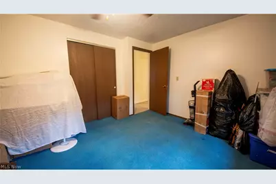 871 S County Line Road, Geneva, OH 44041 - Photo 19