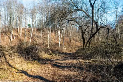 2535 Millersburg Road, Wooster, OH 44691 - Photo 13