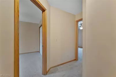 264 W Main Street, Canfield, OH 44406 - Photo 33