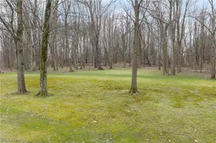 528 E Howe Rd, Tallmadge, OH 44278 - Photo 9