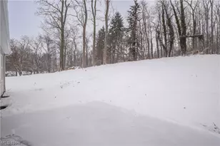 8421 Wadsworth Rd, Wadsworth, OH 44281 - Photo 29