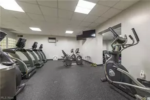 12550 Lake Ave, Oakwood, OH 44107 - Photo 31