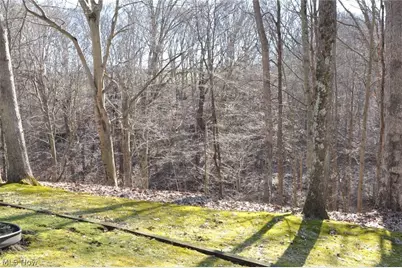 2620 Burnett Road, Cutler, OH 45724 - Photo 33