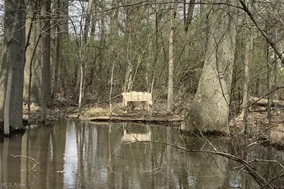 45089 E Hamilton Street, Oberlin, OH 44074 - Photo 45