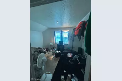 10309 Hulda Avenue, Loveland, OH 44104 - Photo 15