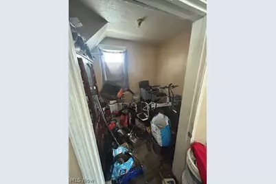 10309 Hulda Avenue, Loveland, OH 44104 - Photo 11