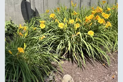 16506 Sunwood Oval, Strongsville, OH 44136 - Photo 47