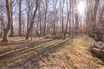 5595 Walnut Street, Mentor on the Lake, OH 44060 - Photo 33